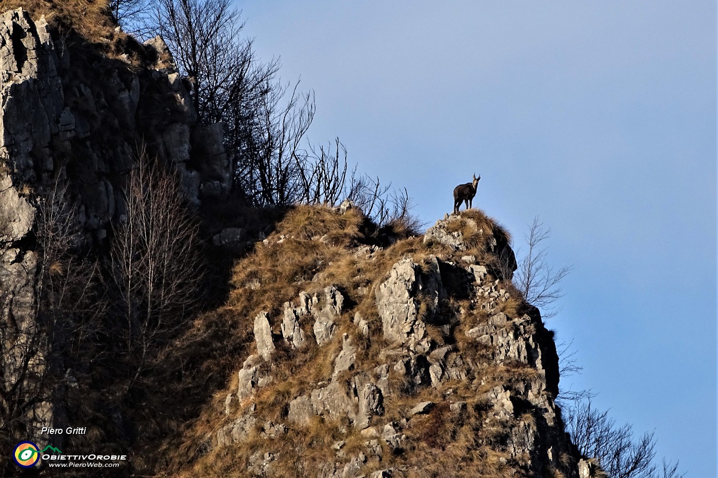 58 Zoom su un camoscio che mi osserva da un cocuzzolo del Castel Regina.JPG